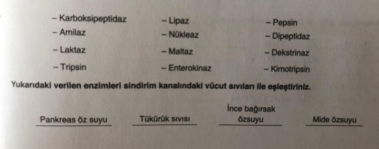 - Karboksipeptidaz
- Amilaz
-Lipaz
-Nükleaz
Pepsin
-Dipeptidaz
-Laktaz
- Maltaz
-Dekstrinaz
-Tripsin
Enterokinaz
-Kimotripsin
Yukarıdaki verilen enzimleri sindirim kanalındaki vücut sıvıları ile eşleştiriniz.
İnce bağırsak
özsuyu
Pankreas öz suyu
Tükürük S