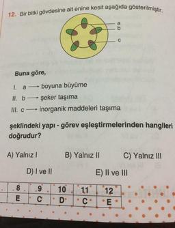 12. Bir bitki gövdesine ait enine kesit aşağıda gösterilmiştir.
a
b
C
Buna göre,
1. a — boyuna büyüme
II. b → şeker taşıma
III. c inorganik maddeleri taşıma
şeklindeki yapı - görev eşleştirmelerinden hangileri
doğrudur?
A) Yalnız!
B) Yalnız 11
C) Yalnız III
D) Ive ||
E) II ve III
8
10
9
C
E
11
• C
• D
12
*E
