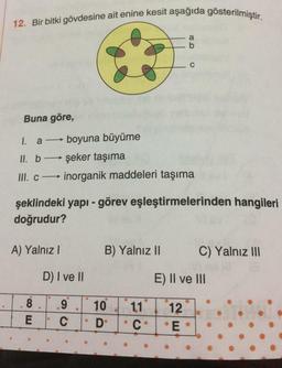 12. Bir bitki gövdesine ait enine kesit aşağıda gösterilmiştir.
a
b
C
Buna göre,
1. a — boyuna büyüme
II. b → şeker taşıma
III. c inorganik maddeleri taşıma
şeklindeki yapı - görev eşleştirmelerinden hangileri
doğrudur?
A) Yalnız!
B) Yalnız 11
C) Yalnız III
D) Ive ||
E) II ve III
8
10
9
C
E
11
• C
• D
12
*E
