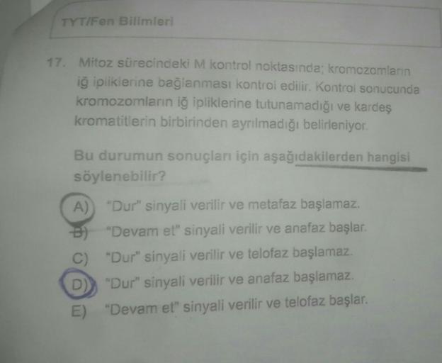 TYT/Fen Bilimleri
17. Mitoz sürecindeki M kontrol noktasında; kromozomlarin
iſ ipliklerine bağlanması kontrol edilir. Kontrol sonucunda
kromozomların iğ ipliklerine tutunamadığı ve kardeş
kromatitlerin birbirinden ayrılmadığı belirleniyor.
Bu durumun sonuç