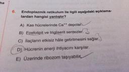 ha
6.
Endoplazmik retikulum ile ilgili aşağıdaki açıklama-
lardan hangisi yanlıştır?
ar
A) Kas hücrelerinde Cat+ depolar.
B) Fosfolipit ve trigliserit sentezler. 3
C) ilaçların etkisiz hale getirilmesini sağlar.
D) Hücrenin enerji ihtiyacını karşılar.
E) Üzerinde ribozom taşıyabilir.