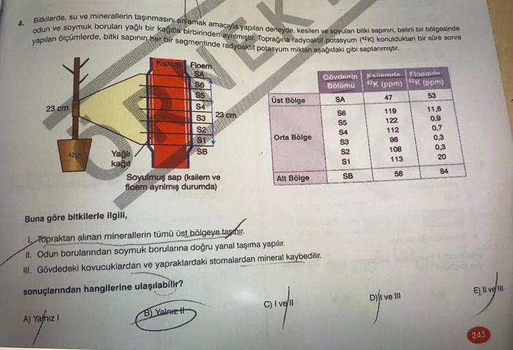 4.
Bitkilerde, su ve minerallerin taşınmasını anlamak amacıyla yapılan deneyde, kesilen ve soyulan bitki sapinin, belirli bir bölgesinde
yapılan ölçümlerde, bitki sapinin her bir segmentinde radyoaktif potasyum miktarı aşağıdaki gibi saplanmıştır.
odun ve