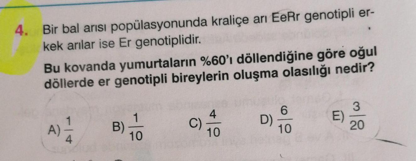 4. Bir bal arısı popülasyonunda kraliçe ari EeRr genotipli er-
kek arılar ise Er genotiplidir.
Bu kovanda yumurtaların %60'ı döllendiğine göre oğul
döllerde er genotipli bireylerin oluşma olasılığı nedir?
1
B)
10
4
C)
10
6
D)
10
3
E)
20
A)
4