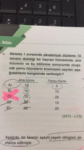 4 5
6
1 2
3
Bölüm
4.
Metafaz I evresinde ekvatoriyal düzleme 10
tetratın dizildiği bir hayvan hücresinde, ana
hücrenin ve bu bölünme sonucunda oluşa-
cak yavru hücrelerin kromozom sayıları aşa-
ğıdakilerin hangisinde verilmiştir?
Ana hücre
Yavru hücre
A)
1