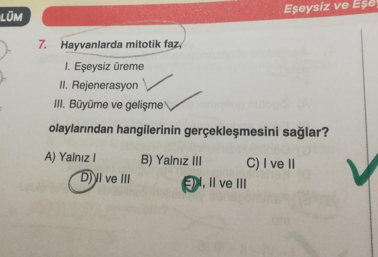 Eşeysiz ve Eşe
LÜM
7. Hayvanlarda mitotik faz,
1. Eşeysiz üreme
II. Rejenerasyon
III. Büyüme ve gelişme
olaylarından hangilerinin gerçekleşmesini sağlar?
A) Yalnız!
D) II ve III
B) Yalnız III C) I ve II
€91, Il ve III