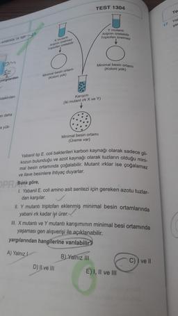 TEST 1304
Te
Ya
17
Y mutanto
Arijinin üretebilir
Triptofan üretmez
X mutant
Arin üretmez
Triptofan üretebilir
Minimal besin ortamı
(Koloni yok)
Minimal besin ortamı
(Koloni yok)
yargilardan
idekinden
Karışım
(Iki mutant irk X ve Y)
an daha
a yük
Minimal besin ortamı
(Üreme var)
Yabanil tip E. coli bakterileri karbon kaynağı olarak sadece gli-
kozun bulunduğu ve azot kaynağı olarak tuzların olduğu mini-
mal besin ortamında çoğalabilir. Mutant irklar ise çoğalamaz
ve ilave besinlere ihtiyaç duyarlar.
OPR Buna göre,
1. Yabanil E. coli amino asit sentezi için gereken azotu tuzlar-
dan karşılar
II. Y mutanti triptofan eklenmiş minimal besin ortamlarında
yabani ırk kadar iyi ürer.
III. X mutantı ve Y mutantı karışımının minimal besi ortamında
yaşaması gen alışverişi ile açıklanabilir.
yargılarından hangilerine varılabilir?
A) Yalnız
B) Yalnız III
C)) ve 11
D) Il ve III
E) I, II ve III
