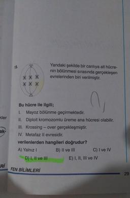 19.
Yandaki şekilde bir canlıya ait hücre-
nin bölünmesi sırasında gerçekleşen
evrelerinden biri verilmiştir.
kler
ak-
Bu hücre ile ilgili;
1. Mayoz bölünme geçirmektedir.
II. Diploit kromozomlu üreme ana hücresi olabilir.
III. Krossing - over gerçekleşmiştir.
IV. Metafaz ll evresidir.
verilenlerden hangileri doğrudur?
A) Yalnız 1
B) II ve III C) I ve IV
D) I, II ve III
E) I, II, III ve IV
Rİ
FEN BİLİMLERİ
29