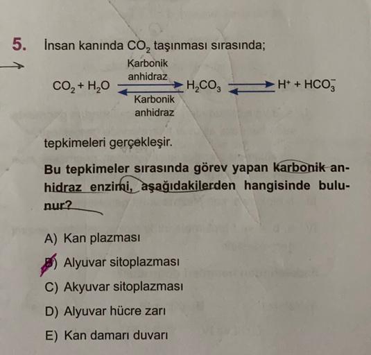 5. İnsan kanında CO, taşınması sırasında;
Karbonik
anhidraz
CO2 + H2O
H2CO3
Karbonik
anhidraz
H+ + HCO3
tepkimeleri gerçekleşir.
Bu tepkimeler sırasında görev yapan karbonik an-
hidraz enzimi, aşağıdakilerden hangisinde bulu-
nur?
A) Kan plazması
Alyuvar s