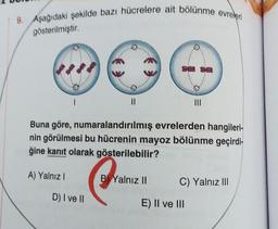 9. Aşağıdaki şekilde bazı hücrelere ait bölünme evreleri
gösterilmiştir
II
MI
Buna göre, numaralandırılmış evrelerden hangileri-
nin görülmesi bu hücrenin mayoz bölünme geçirdi-
ğine kanıt olarak gösterilebilir?
A) Yalnız !
B) Yalnız II
C) Yalnız III
D) I ve II
E) II ve III