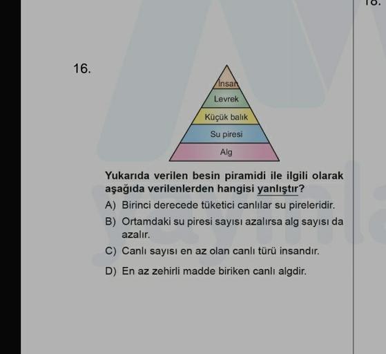 16.
insan
Levrek
Küçük balik
Su piresi
Alg
Yukarıda verilen besin piramidi ile ilgili olarak
aşağıda verilenlerden hangisi yanlıştır?
A) Birinci derecede tüketici canlılar su pireleridir.
B) Ortamdaki su piresi sayısı azalırsa alg sayısı da
azalır.
C) Canl