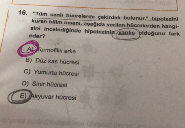 16. "Tüm canlı hücrelerde çekirdek bulunur." hipotezini
kuran bilim insanı, aşağıda verilen hücrelerden hangi-
sini incelediğinde hipotezinin yanlış olduğunu fark
eder?
A) Termofilik arke
B) Düz kas hücresi
C) Yumurta hücresi
D) Sinir hücresi
E) Akyuvar hü