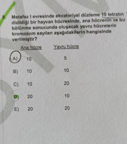 8. Metafaz I evresinde ekvatoriyal düzleme 10 tetratın
dizildiği bir hayvan hücresinde, ana hücrenin ve bu
bölünme sonucunda oluşacak yavru hücrelerin
kromozom sayıları aşağıdakilerin hangisinde
verilmiştir?
Ana hücre Yavru hücre
A)
10
5
B) 10
10
C) 10
20
D)
20
10
E) 20
20