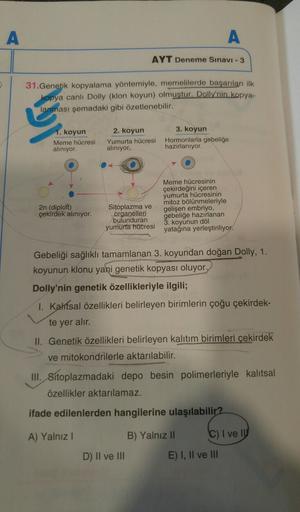 A
A
AYT Deneme Sınavı - 3
31. Genetik kopyalama yöntemiyle, memelilerde başarılan ilk
kopya canlı Dolly (klon koyun) olmuştur. Dolly'nin kopya-
lanması şemadaki gibi özetlenebilir.
1. koyun
Meme hücresi
aliniyor.
2. koyun
Yumurta hücresi
aliniyor,
3. koyun