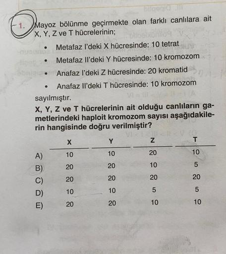 biogia
1. Mayoz bölünme geçirmekte olan farklı canlılara ait
X, Y, Z ve T hücrelerinin;
Metafaz l'deki X hücresinde: 10 tetrat
Metafaz Il'deki Y hücresinde: 10 kromozom
• Anafaz l'deki Z hücresinde: 20 kromatid
Anafaz il'deki T hücresinde: 10 kromozom
sayı