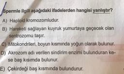Aspen
Spermle ilgili aşağıdaki ifadelerden hangisi yanlıştır?
A) Haploid kromozomludur.
B) Hareketi sağlayan kuyruk yumurtaya geçecek olan
sentrozomu taşır.
C) Mitokondrileri, boyun kısmında yoğun olarak bulunur.
D) Akrozom adı verilen sindirim enzimi bulunduran ke-
se baş kısımda bulunur.
E) Çekirdeği baş kısmında bulundurur.