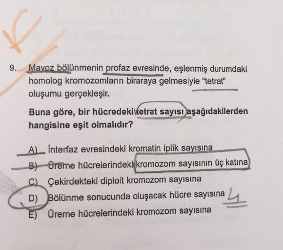 9. Mayoz bölünmenin profaz evresinde, eşlenmiş durumdaki
homolog kromozomların biraraya gelmesiyle "tetrat"
oluşumu gerçekleşir.
Buna göre, bir hücredeki tetrat sayısı aşağıdakilerden
hangisine eşit olmalıdır?
AL Interfaz evresindeki kromatin iplik sayısın