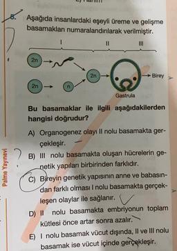 Aşağıda insanlardaki eşeyli üreme ve gelişme
basamakları numaralandırılarak verilmiştir.
II
2n
2n
Birey
2n
Gastrula
Bu basamaklar ile ilgili aşağıdakilerden
hangisi doğrudur?
Palme Yayınevi
A) Organogenez olayı Il nolu basamakta ger-
çekleşir.
B) III nolu basamakta oluşan hücrelerin ge-
netik yapıları birbirinden farklıdır.
C) Bireyin genetik yapısının anne ve babasın-
dan farklı olması I nolu basamakta gerçek-
leşen olaylar ile sağlanır.
D) || nolu basamakta embriyonun toplam
kütlesi önce artar sonra azalır.
E) I nolu basamak vücut dışında, Il ve III nolu
basamak ise vücut içinde gerçekleşir.
