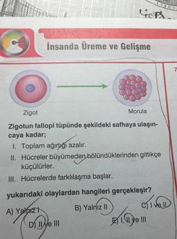 insanda Üreme ve Gelişme
7
Zigot
Morula
Zigotun fallopi tüpünde şekildeki safhaya ulaşın-
caya kadar;
1. Toplam ağırlığı azalır.
II. Hücreler büyümeden bölündüklerinden gittikçe
küçülürler.
III. Hücrelerde farklılaşma başlar.
yukarıdaki olaylardan hangileri gerçekleşir?
I ve II
B) Yalnız II
A) Yalniz
er 102
D) Il Me III
E) I, IL ye III
