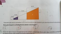 3.
8 cm
c
6 cm
2
4 cm
B
464
2 cm
A
Yukarıdaki şekil, kenar uzunlukları 2 cm, 4 cm, 6 cm ve 8 cm olan karelerin yan yana konulması ile elde edilmiştir.
Buna göre boyalı A ve B bölgelerinin alanları oranı kaçtır?
1
1
1
1
A)
B)
2
3
D)
4
8
4. Kerem bir ağacın boyunu hesaplamak için bir yöntem geliştirmiştir
. Buna göre ağaç ile birlikte uzunluğu beli
bir kişinin resmini cekir aradaki benzerliği kullanmaktadır