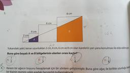 3.
8 cm
c
6 cm
2
4 cm
B
464
2 cm
A
Yukarıdaki şekil, kenar uzunlukları 2 cm, 4 cm, 6 cm ve 8 cm olan karelerin yan yana konulması ile elde edilmiştir.
Buna göre boyalı A ve B bölgelerinin alanları oranı kaçtır?
1
1
1
1
A)
B)
2
3
D)
4
8
4. Kerem bir ağacın boyunu hesaplamak için bir yöntem geliştirmiştir
. Buna göre ağaç ile birlikte uzunluğu beli
bir kişinin resmini cekir aradaki benzerliği kullanmaktadır
