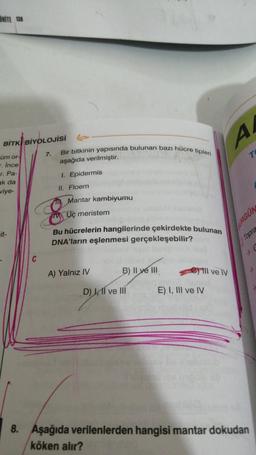 OWITE 138
A
BİTKİ BİYOLOJİSİ
Bir bitkinin yapısında bulunan bazı hücre tipleri
7.
T
üm or
- ince
aşağıda verilmiştir.
T. Pa-
1. Epidermis
ak da
viye-
II. Floem
Mantar kambiyumu
Uç meristem
BÜRGÜN
it-
Bu hücrelerin hangilerinde çekirdekte bulunan
DNA'ların eşlenmesi gerçekleşebilir?
Topra
C
A) Yalnız IV
B) II ve III
Il ve IV
D) Il ve III
E) I, III ve IV
8. Aşağıda verilenlerden hangisi mantar dokudan
köken alır?
