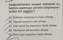 Aşağıdakilerden hangisi bitkilerde su
kaybını azaltmaya yönelik adaptasyon-
lardan biri değildir?
A) Kütikula tabakasının kalın olması
B) Yaprak ayasının dar olması
C) Kök emici tüy sayısının fazla olması
D) Stomanın alt durumlu olması
Ey Örtü tüyü sayısının fazla olması