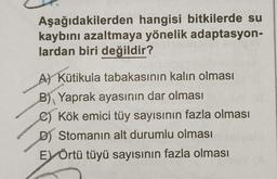 Aşağıdakilerden hangisi bitkilerde su
kaybını azaltmaya yönelik adaptasyon-
lardan biri değildir?
A) Kütikula tabakasının kalın olması
B) Yaprak ayasının dar olması
C) Kök emici tüy sayısının fazla olması
D) Stomanın alt durumlu olması
Ey Örtü tüyü sayısının fazla olması
