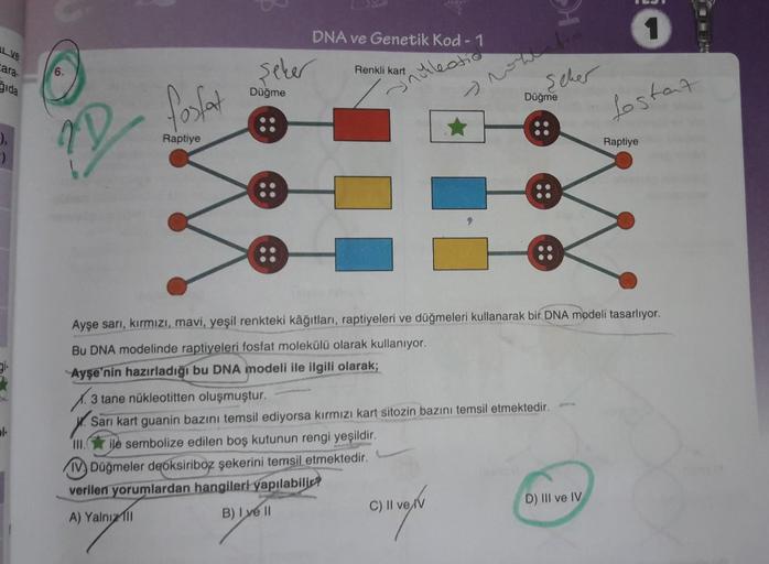 DNA ve Genetik Kod - 1
1
Cara
şeker
Renkli kart
kleoti
seher
Dida
Düğme
Düğme
fosfat
fostat
Raptiye
),
-)
D
Raptiye
Ayşe sarı, kırmızı, mavi, yeşil renkteki kâğıtlari, raptiyeleri ve düğmeleri kullanarak bir DNA modeli tasarlıyor.
Bu DNA modelinde raptiyel