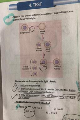 4. TEST
1. Aşağıda dişi üreme sisteminde oogenez basamakları numa-
ralandırılarak verilmiştir.
(Oogonyum)
Birincil
oosit
2
Kutup
hücresi
ikincil
oosit
3
Ootit
Kutup
hücreleri
Yumurta
hücresi
Numaralandırılmış olaylarla ilgili olarak,
I. 1. nolu olay mayoz f'dir.
2, olay sonucu oluşan ikincil oositin DNA miktarı, kutup
hücresinin DNA miktarından fazladır.
H. 3. olay sonucu oluşan ootit, bol sitoplazmali
monoploid
bir hücredir.
NITELIK Yayıncılık
ifadelerinden hangileri doğrudur?
A) Yalnız 10
B) I ve II
D) II ve III
C) I ve III
E) I, II ve III