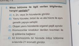 5. Mitoz bölünme ile ilgili verilen bilgilerden
hangisi yanlıştır?
A) n, 2n, veya 3n hücrelerde görülür.
B) Yavru hücreler, birbiri ile ve ata hücre ile aynı
genetik yapıya sahiptir.
C) Oluşan yavru hücrelerde organel çeşiti aynıdır.
D) Kromozomlar kinetokor denilen kısımları ile
iğ ipliklerine bağlanır.
E) 42 kromozomlu bir hücrede mitoz bölünme
sırasında 21 kromatit görülür.