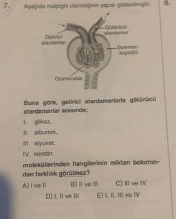 7.
8.
Aşağıda malpighi cisimciğinin yapısı gösterilmiştir.
Götürücü
atardamar
Getirici
atardamar
Bowman
kapsülü
Glomerulus
Buna göre, getirici atardamarlarla götürücü
atardamarlar arasında;
1. glikoz,
IL albumin,
Ill. alyuvar,
IV. keratin
moleküllerinden hangilerinin miktarı bakımın-
dan farklılık görülmez?
A) I ve II B) II ve III C) Il ve IV
D) I, II ve III E) I, II, III ve IV
