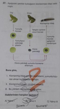 37. Aşağıdaki şekilde kurbağanın klonlanması olayı veril-
miştir.
Dişi
Erkek
Klonlaşmış iribas
Yumurta
hücresi
Yetişkin canlının
vücut hücresi
Yumurtanın
çekirdeği
çıkarılır.
Yumurta
hücresi
gelişimini
sürdürüyor.
Hücre
çekirdeği
Du
Hücre çekideği yumurta hücresine
aktariliyor.
Buna göre,
1. Klonlanmış iribaş genetik özelliklerini, yumurta hüc-
resi alınan kurbağadan almıştır.
II. Klonlanmış iribaşın cinsiyeti erkektir.
III. Bu yöntem kalıtsal çeşitliliği artırır.
ifadelerinden hangileri yanlıştır?
A) Yalnız 1
B) Yalnız II
C) Yalnız III
DI ve II
EH, H ve III