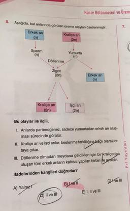 Hücre Bölünmeleri ve Ürem
5.
Aşağıda, bal arılarında görülen üreme olayları özetlenmiştir.
7.
Erkek ari
Kraliçe ari
(2n)
Sperm
(n)
Yumurta
(n)
Döllenme
Zigot
(2n)
Erkek ari
(n)
Kraliçe ari
İşçi ari
(2n).
(2n).
Bu olaylar ile ilgili,
1. Arılarda partenogenez, sadece yumurtadan erkek arı oluş-
ması sürecinde görülür.
II. Kraliçe arı ve işçi arılar, beslenme farklılığına bağlı olarak or-
taya çıkar.
III. Döllenme olmadan meydana geldikleri için bir kraliçeden
oluşan tüm erkek arıların kalıtsal yapıları birbiri ile aynıdır.
Prf Yayınları
ifadelerinden hangileri doğrudur?
C) I ve III
B) I ve II
A) Yalnız
E) I, II ve III
D) Il ve III