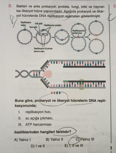 3.
5
Bakteri ve arke prokaryot; protista, fungi, bitki ve hayvan
ise ökaryot hücre yapısındadır. Aşağıda prokaryot ve ökar-
yot hücrelerde DNA replikasyon aşamaları gösterilmiştir.
Replikasyon
Eski iplik
orijin
Yeni iplik
Replikasyon çatallan
Replikasyonun