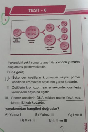 TEST - 6
4.
X
1
<
>>
Yumurta
ana
hücresi
Primer
oosit
s
Sekonder
oosit
Ootit
Yukarıdaki şekil yumurta ana hücresinden yumurta
oluşumunu göstermektedir.
Buna göre;
v Sekonder oositlerin kromozom sayısı primer
oositlerin kromozom sayısının yarısı kadardır.
I