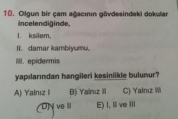 10. Olgun bir çam ağacının gövdesindeki dokular
incelendiğinde,
I. ksilem,
II. damar kambiyumu,
III. epidermis
yapılarından hangileri kesinlikle bulunur?
A) Yalnız!
B) Yalnız || C) Yalnız III
E) I, II ve III
DN ve II
ON