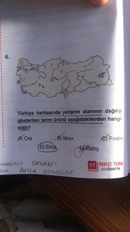 1
1
1
1
6.
Türkiye haritasında yetişme alanının dağılışı
gösterilen tarım ürünü aşağıdakilerden hangi-
sidir?
A) Çay
B) Misir
e) Findik
D) Elma
Sketicing
masinin
Sebebi
sun
farlo olmosidir
YT YAVUZ TUNA
COĞRAFYA
