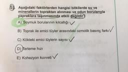 37. Aşağıdaki faktörlerden hangisi bitkilerde su ve
minerallerin topraktan alınması ve odun borularıyla
yapraklara taşınmasında etkili değildir?
A) Soymuk borularının kılcallığı v
B) Toprak ile emici tüyler arasındaki ozmotik basınç farkı ✓
C) Kökteki emici tüylerin sayısı ✓
D) Terleme hızı
E) Kohezyon kuvveti V
