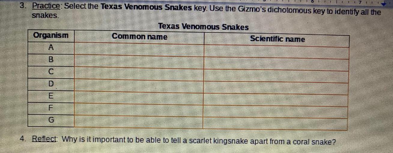 7 TL
3. Practice: Select the Texas Venomous Snakes key. Use the Gizmo's dichotomous key to identify all the
snakes.
Texas Venomous Snakes
Organism
Common name
Scientific name
F
4. Reflect: Why is it important to be able to tell a scarlet kingsnake apart from a coral snake?