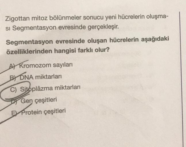 Zigottan mitoz bölünmeler sonucu yeni hücrelerin oluşma-
si Segmentasyon evresinde gerçekleşir.
Segmentasyon evresinde oluşan hücrelerin aşağıdaki
özelliklerinden hangisi farklı olur?
At Kromozom sayıları
BY DNA miktarları
C) Sitoplazma miktarları
Gen çeşi