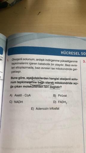 HÜCRESEL SO
3.
1. Oksijenli solunum, ardışık indirgenme yükseltgenme
tepkimelerini içeren katabolik bir olaydır. Bazı evre-
leri sitoplazmada, bazı evreleri ise mitokondride ger-
çekleşir.
Buna göre, aşağıdakilerden hangisi oksijenli solu-
num tepkimelerin