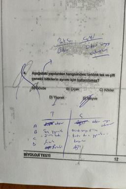 GH
o to wys
odon
Aşağıdaki yapılardan hangisindeki farklılık tek ve çift
çenekli bitkilerin ayrıms için kullanılamaz?
A Gövde
BY Çiçek
C) Kökler
D) Yaprak
Di Yaprak
Frideyve
T
S
her otse
Dit versin
od
A
B mly
..oh hat
kese
43
A Probi
BİYOLOJİ TESTİ
12