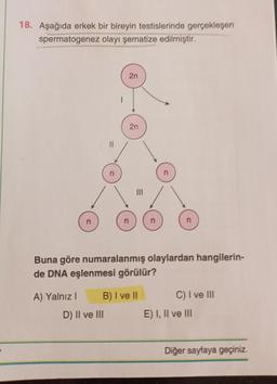 18. Aşağıda erkek bir bireyin testislerinde gerçekleşen
spermatogenez olayı şematize edilmiştir.
2n
2n
n
III
n
n
Buna göre numaralanmış olaylardan hangilerin-
de DNA eşlenmesi görülür?
A) Yalnız!
B) I ve II
C) I ve III
E) I, II ve III
D) II ve III
Diğer sayfaya geçiniz.