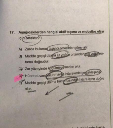 17. Aşağıdakilerden hangisi aktif taşıma ve endositoz olayı
için ortaktır?
A) Zarda bulunan taşıyıcı proteinler görev alır.
B) Madde geçişi daima az yoğun ortamdan çok vooraor-
tama doğrudur.
C Zar yüzeyinde küçülmeye neden olur.
DY Hücre duvan bulunmayan