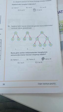 III. Oksijenli solunum ile ihtiyaç duyduğu enerjiyi üretebilir.
ifadelerinden hangileri doğrudur?
B) I ve 11
A) Yalniz !
D) Il ve Ill
C) I ve III
1. Il ve Ill
IAT
16. Aşağıda farklı hayvan türlerinde görülen hücre bölünmeleri
numaralı olarak gösterilmiştir.
AS
IEL
ere
DE
2n
2n
e
2n
2n
n
n
n
II.
III.
Buna göre verilen bölünmelerden hangilerinin
sonucunda üreme hücresi oluşmuş olabilir?
A) Yalnız
Yalnız III
B) Yalnız 11
E) I ve III
D) I ve II
38
Diğer sayfaya geçiniz.
