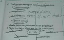 37. Yeşil bir bitki yaprağının bütün canlı hücrelerinde;
1. oksijenli solunum,
3
Il fotosentez,
porankane
1. bektometime. Merlisten dola
IV. protein sentezi
olaylarından hangileri ortak blarak gerçekleşir?
Niletim borularına ait hücreler dikkate alınmayacak)
A) I ve II
B) I ve IV
live
DLvo IV
E) Il ve IV