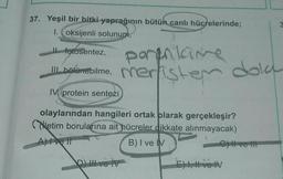 37. Yeşil bir bitki yaprağının bütün canlı hücrelerinde;
1. oksijenli solunum,
3
Il fotosentez,
porankane
1. bektometime. Merlisten dola
IV. protein sentezi
olaylarından hangileri ortak blarak gerçekleşir?
Niletim borularına ait hücreler dikkate alınmayacak)
A) I ve II
B) I ve IV
live
DLvo IV
E) Il ve IV
