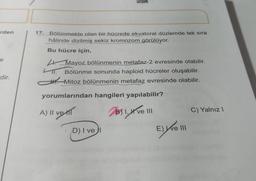 rden
17.
Bölünmekte olan bir hücrede ekvatoral düzlemde tek sıra
hâlinde dizilmiş sekiz kromozom görülüyor.
Bu hücre için,
e
La Mayoz bölünmenin metafaz-2 evresinde olabilir.
Bölünme sonunda haploid hücreler oluşabilir.
Mitoz bölünmenin metafaz evresinde olabilir.
dir.
yorumlarından hangileri yapılabilir?
A) II VEHT
C) Yalnız!
Byl, ve III
E)
D) I ve
ve III
