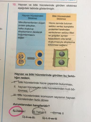 15. Hayvan ve bitki hücrelerinde görülen sitokinez
aşağıdaki tabloda gösterilmiştir.
Hayvan Hücresindeki
Sitokinez
Bitki Hücresindeki
Sitokinez
Mikroflamentlerden oluşan
protein iplikçikler,
halka oluşturup
sitoplazmanın daralarak
boğumlanmasını
sağlar.
Hü