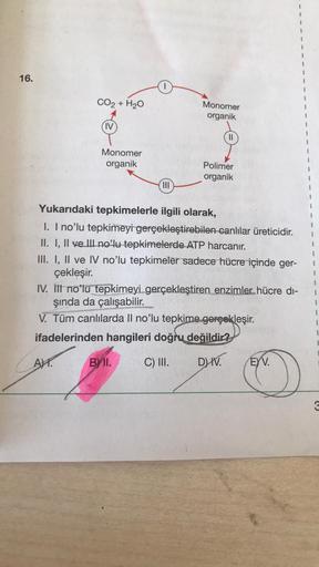 16.
CO2 + H20
Monomer
organik
(IV
Monomer
organik
Polimer
organik
1
Yukarıdaki tepkimelerle ilgili olarak,
1. I no'lu tepkimeyi gerçekleştirebilen canlılar üreticidir.
II. I, II ve III no'lu tepkimelerde ATP harcanır.
III. I, II ve IV no'lu tepkimeler sade